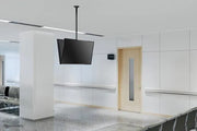 NeoMounts FPMA-C340DBLACK TV/Monitor Ceiling Mount - For 32-75" Screens Ceiling Mount Bracket NeoMounts