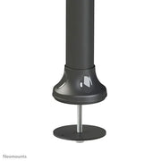 NeoMounts 19"-30" Dual Monitor Arm Desk Mount | FPMA-D700DD Monitor Arm Desk Mount NeoMounts