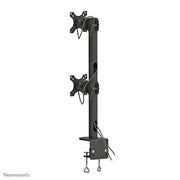 Neomounts 17" - 49" Dual Monitor Curved LCD Desk Pole Mount | FPMA-D960DVBLACKPLUS Monitor Arm Desk Mount NeoMounts