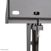 Neomounts 32" - 55" Screen Wall Mount Bracket | FPMA-W350BLACK Wall Mount Bracket NeoMounts