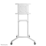 Neomounts 37" - 70" Monitor/TV Floor Stand/Trolley | NS-M1250WHITE Mobile Trolley NeoMounts