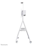 NeoMounts NS-M1500WHITE Rolling Floor Stand - For 32-65" Screen Mobile Trolley NeoMounts