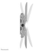 Neomounts 37" - 85" Screen Wall Mount Bracket | PLASMA-W200 Wall Mount Bracket NeoMounts