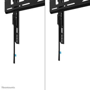 NeoMounts 32" - 75" Heavy Duty TV Wall Mount | WL30-750BL14 Wall Mount Bracket NeoMounts