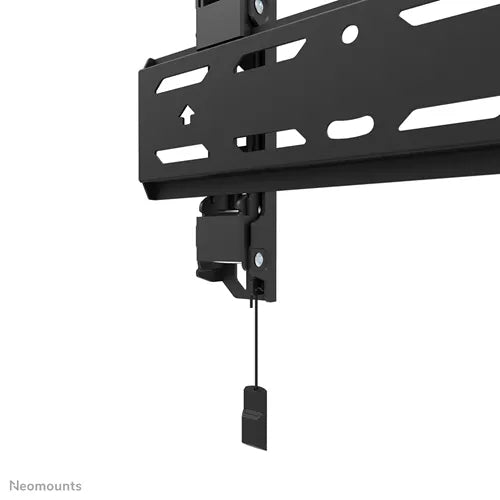 Neomounts 24" - 55" Select Screen Wall Mount Bracket | WL30S-850BL12 Wall Mount Bracket NeoMounts