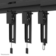 Neomounts 55" - 110" Screen Wall Mount Bracket | WL30S-950BL19 Wall Mount Bracket NeoMounts