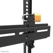 Neomounts 32" - 65" Screen Wall Mount Bracket | WL35-350BL14 Wall Mount Bracket NeoMounts