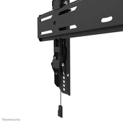 Neomounts 32"-75" Screen Wall Mount Bracket | WL35S-850BL14 Wall Mount Bracket NeoMounts