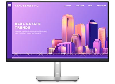 Dell P2422H 23.8" 60Hz 5ms Full HD Desktop Monitor Desktop Monitors Dell