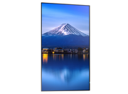 Sharp MultiSync® P436 LCD 43" 4K UHD Professional Large Format Display Digital Signage Display NEC