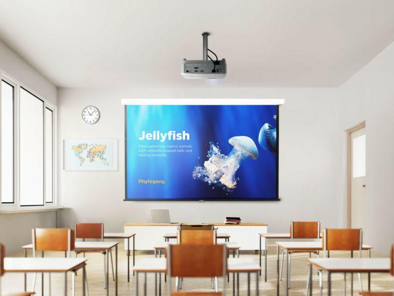 ViewSonic 16:10 WXGA 4000 ANSI Lumens DLP Projector | PA504W ViewSonic Projector ViewSonic