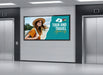 Moove 43" Tempered Glass Slimline Premium Digital Signage Display