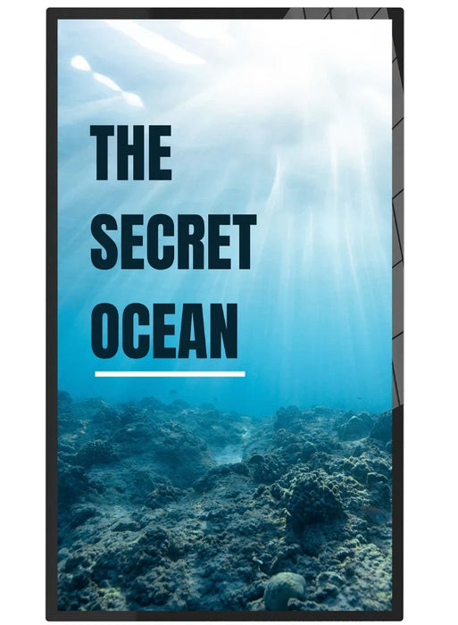 ScreenMoove SM65CT1 65" Android 11 Aluminum Alloy Edge Series 4K Professional Display Professional Display ScreenMoove