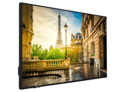 Vestel PR P2 Series PR50D-4H2 50" 4K Ultra HD Digital Signage Display Digital Signage Display Vestel