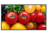 AG Neovo QM4303 43” 4K Ultra HD Digital Signage Display