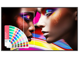 BenQ SH5504 55” 4K Ultra HD Pantone® Validated Pro Signage Display with Android 13 EDLA