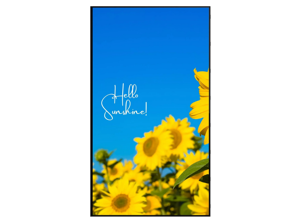50" Commercial Monitor - Signage Display Digital Signage Display ScreenMoove