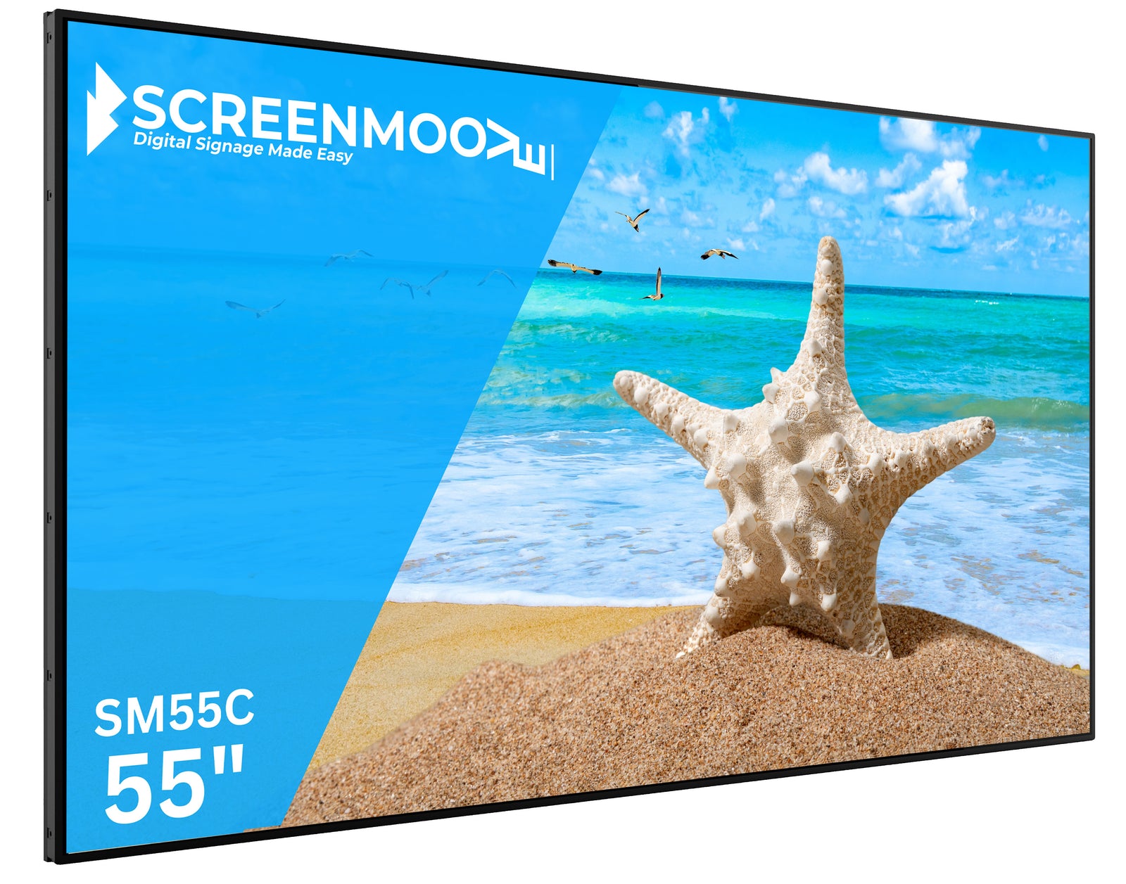 55" Commercial Monitor - Professional Signage Display Digital Signage Display ScreenMoove