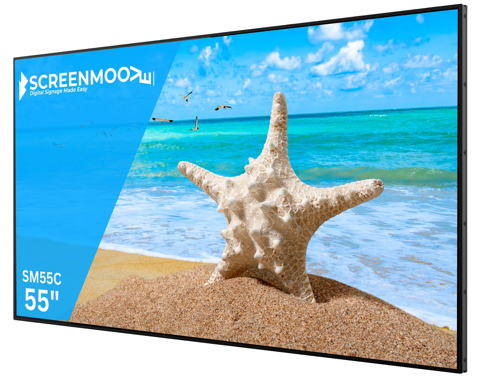 55" Commercial Monitor - Professional Signage Display Digital Signage Display ScreenMoove