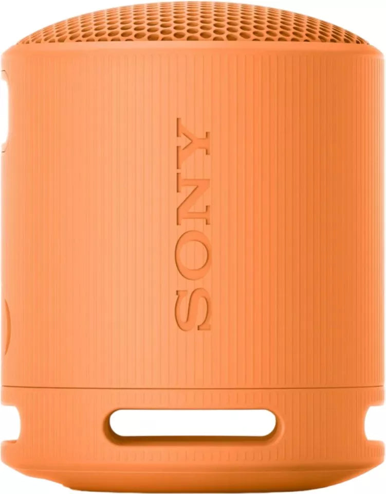 Sony XB100 Portable Wireless Speaker | SRSXB100D.CE7 Speaker Sony