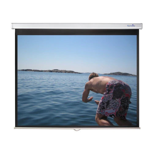 Projector screen for home cinema business presentations and education from ScreenMoove