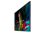 Samsung QB50C-N Crystal 50" 4K Ultra HD Digital Signage Display | LH50QBCNBGCXEN