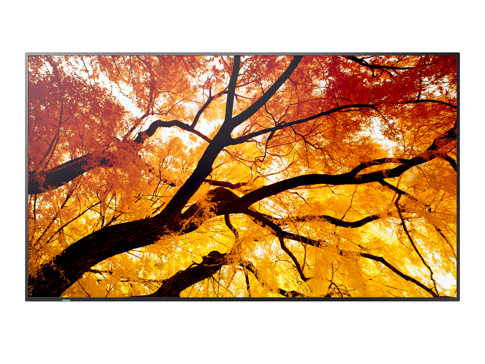 NEC 43" MultiSync M432 4K UHD IPS 550 cd/m² Commercial Display | 60006053 Digital Signage Display NEC