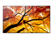 NEC 43" MultiSync M432 4K UHD IPS 550 cd/m² Commercial Display | 60006053 Digital Signage Display NEC