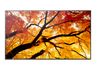 NEC 43" MultiSync M432 4K UHD IPS 550 cd/m² Commercial Display | 60006053