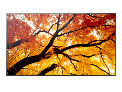 NEC 43" MultiSync M432 4K UHD IPS 550 cd/m² Commercial Display | 60006053 Commercial Display NEC