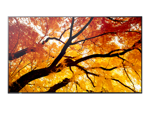 NEC 43" MultiSync M432 4K UHD IPS 550 cd/m² Commercial Display | 60006053 Commercial Display NEC