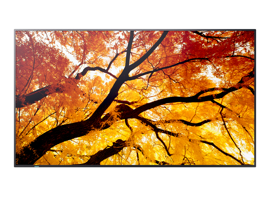 NEC 43" MultiSync M432 4K UHD IPS 550 cd/m² Commercial Display | 60006053 Commercial Display NEC