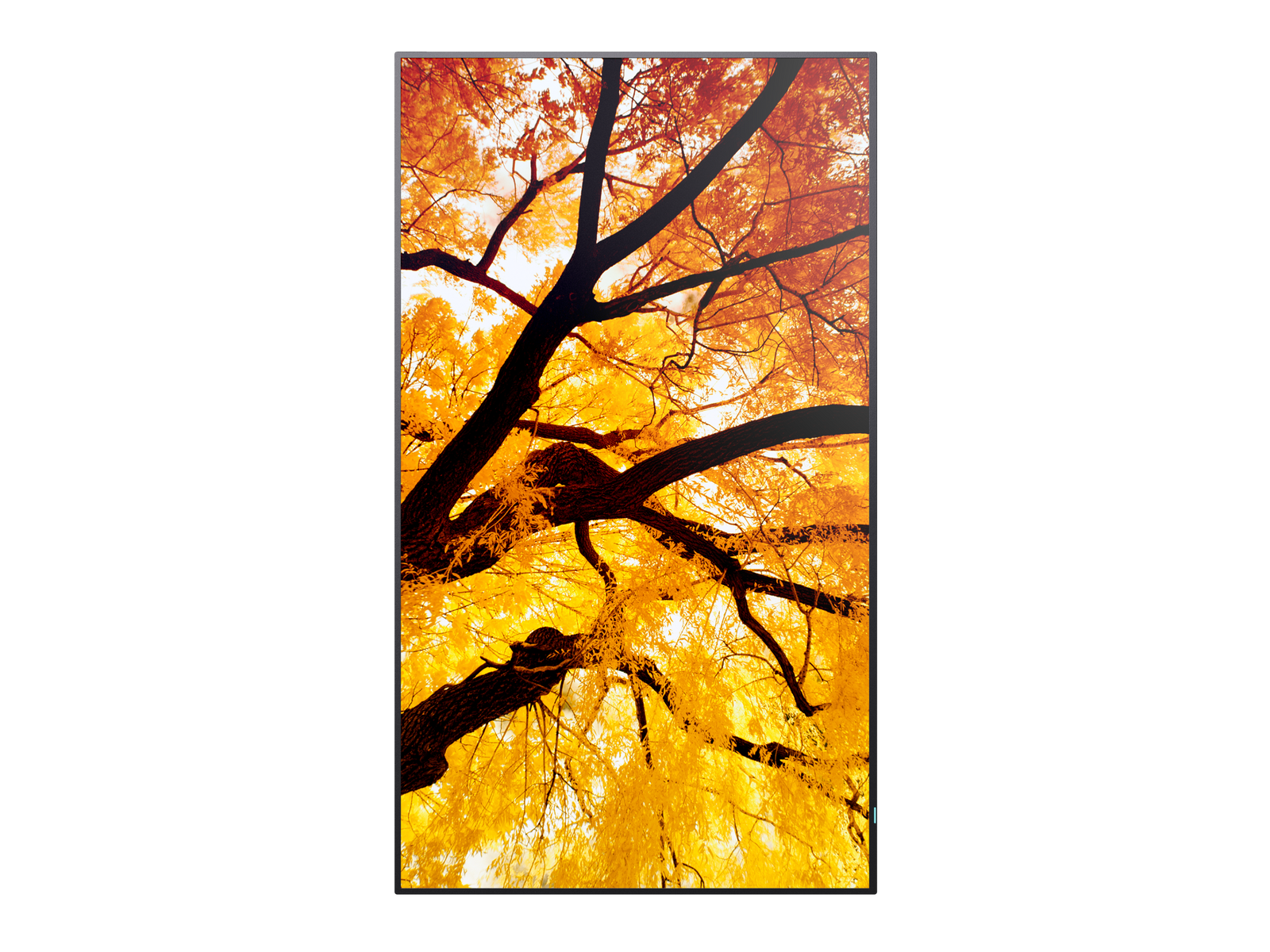 NEC 43" MultiSync M432 4K UHD IPS 550 cd/m² Commercial Display | 60006053 Digital Signage Display NEC