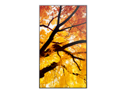 NEC 43" MultiSync M432 4K UHD IPS 550 cd/m² Commercial Display | 60006053 Digital Signage Display NEC