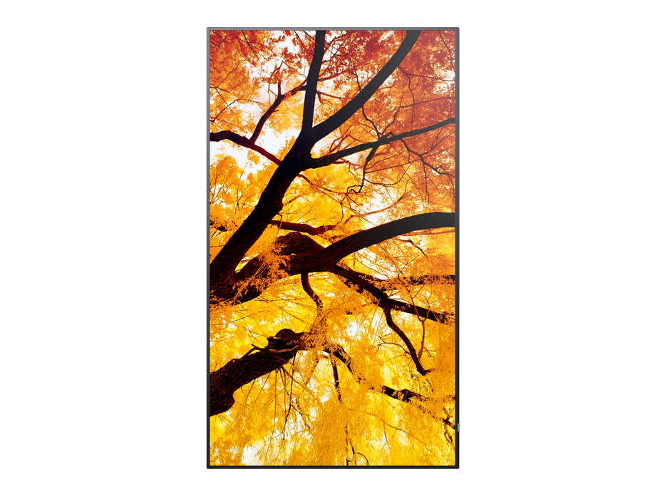 NEC 43" MultiSync M432 4K UHD IPS 550 cd/m² Commercial Display | 60006053 Commercial Display NEC