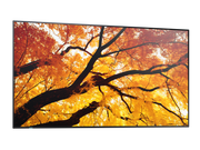 NEC 43" MultiSync M432 4K UHD IPS 550 cd/m² Commercial Display | 60006053 Digital Signage Display NEC