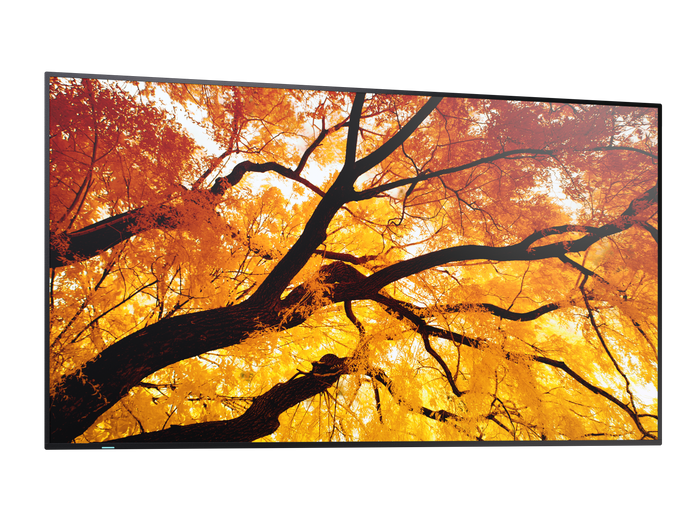 NEC 43" MultiSync M432 4K UHD IPS 550 cd/m² Commercial Display | 60006053 Digital Signage Display NEC
