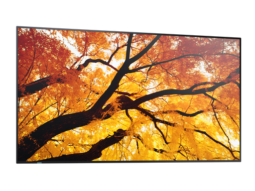 NEC 43" MultiSync M432 4K UHD IPS 550 cd/m² Commercial Display | 60006053 Commercial Display NEC