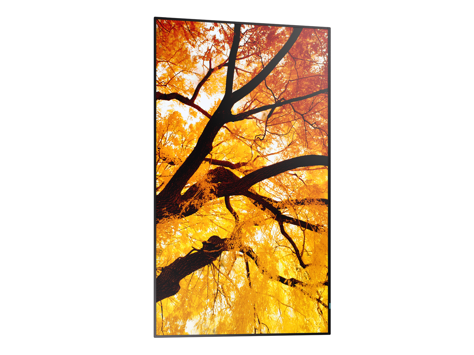 NEC 43" MultiSync M432 4K UHD IPS 550 cd/m² Commercial Display | 60006053 Digital Signage Display NEC