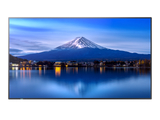 Sharp MultiSync® P556 55" 4K UHD IPS Professional Display With 700 cd/m²