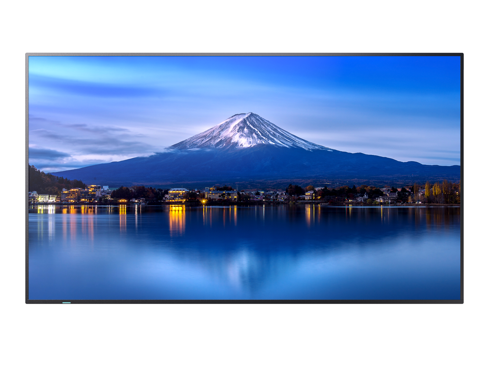 Sharp MultiSync® P556 55" 4K UHD IPS Professional Display With 700 cd/m² Digital Signage Display NEC