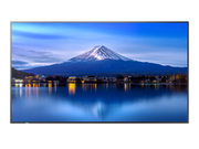 Sharp MultiSync® P556 55" 4K UHD IPS Professional Display With 700 cd/m² Digital Signage Display NEC