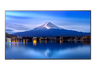 Sharp MultiSync® P556 55" 4K UHD IPS Professional Display With 700 cd/m²