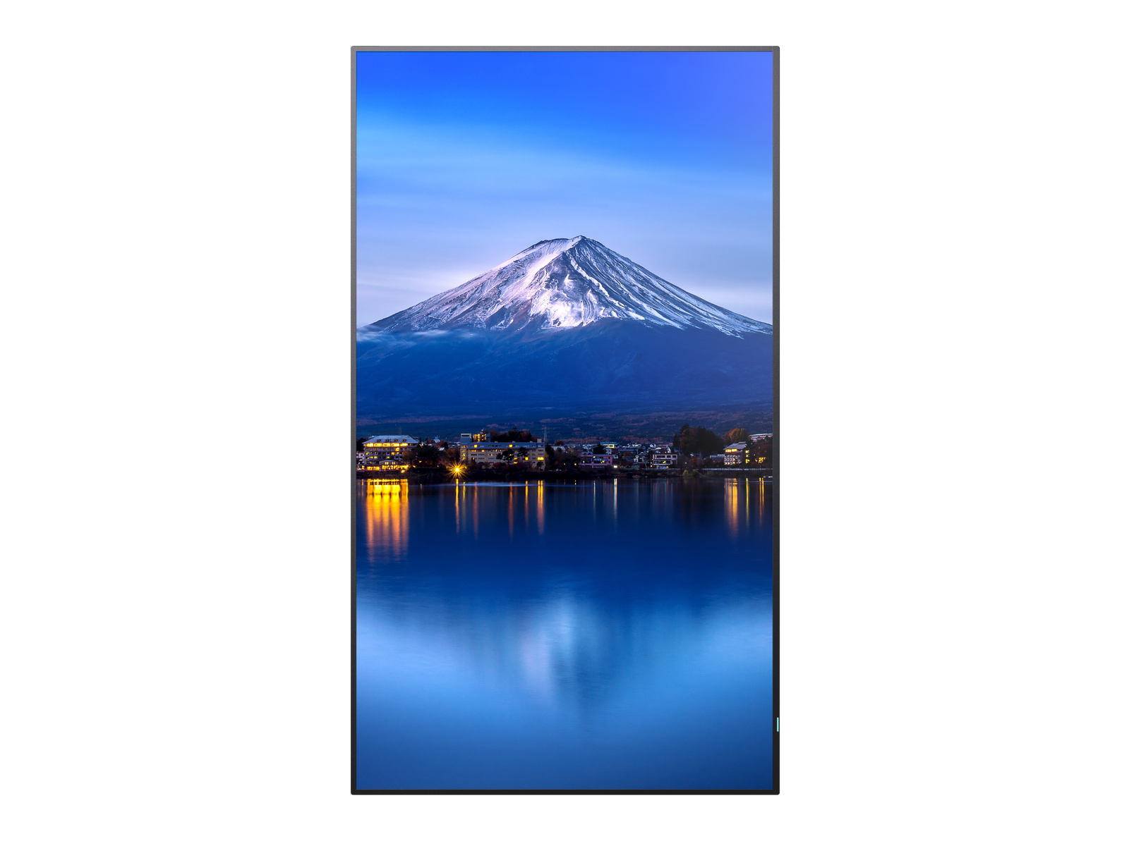 Sharp MultiSync® P556 55" 4K UHD IPS Professional Display With 700 cd/m² Digital Signage Display NEC