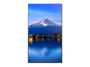 Sharp MultiSync® P556 55" 4K UHD IPS Professional Display With 700 cd/m² Digital Signage Display NEC