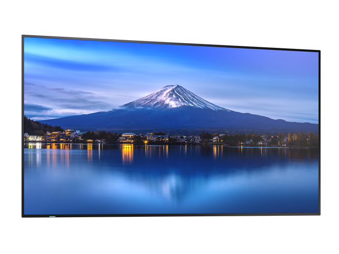 Sharp MultiSync® P556 55" 4K UHD IPS Professional Display With 700 cd/m² Digital Signage Display NEC