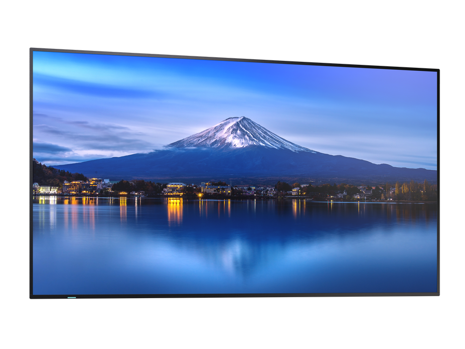 Sharp MultiSync® P556 55" 4K UHD IPS Professional Display With 700 cd/m² NEC Digital Signage NEC