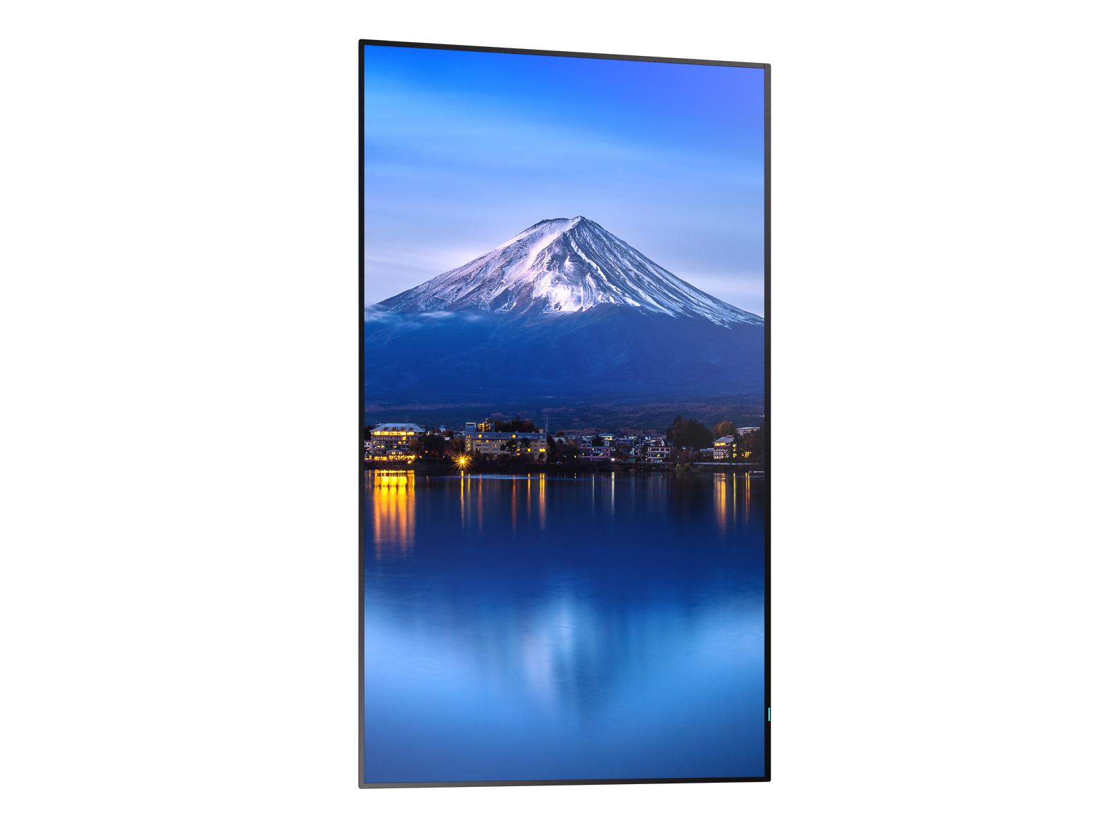 Sharp MultiSync® P556 55" 4K UHD IPS Professional Display With 700 cd/m² Digital Signage Display NEC