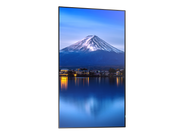 Sharp MultiSync® P556 55" 4K UHD IPS Professional Display With 700 cd/m² Digital Signage Display NEC