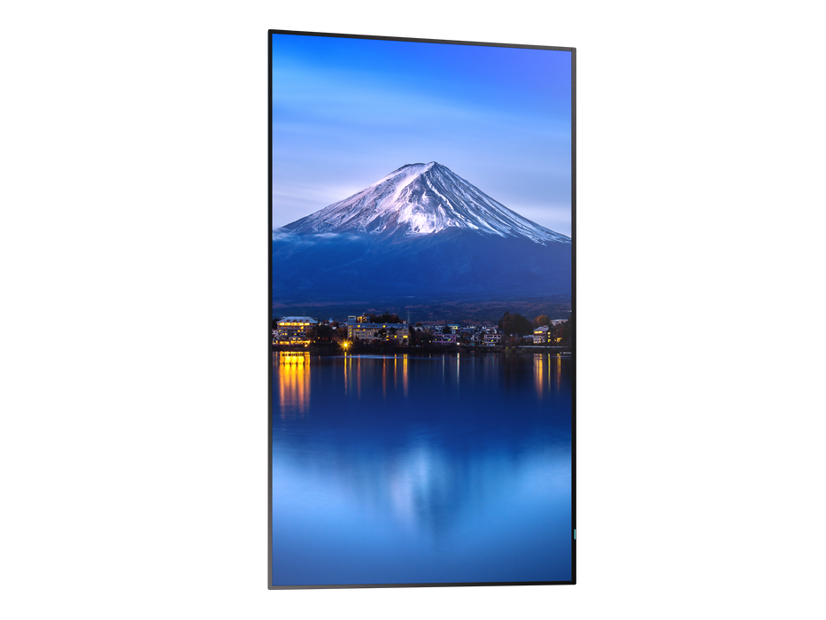 Sharp MultiSync® P556 55" 4K UHD IPS Professional Display With 700 cd/m² NEC Digital Signage NEC